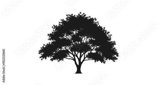 Silhouette of a tree with lush foliage against a white background.