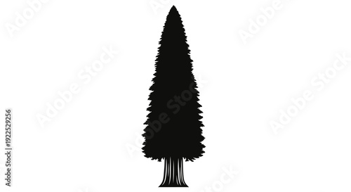 Simple black silhouette of a coniferous tree on white background.