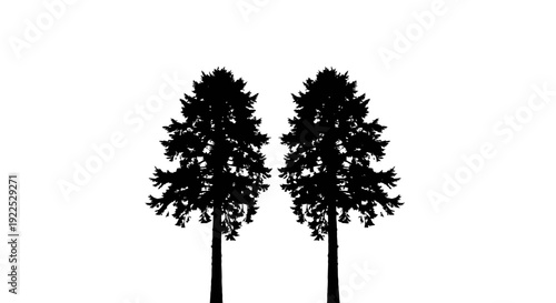 Silhouettes of two trees against a white background.