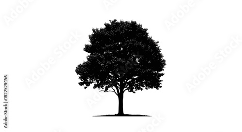 Silhouette of a tree with lush foliage on a white background.