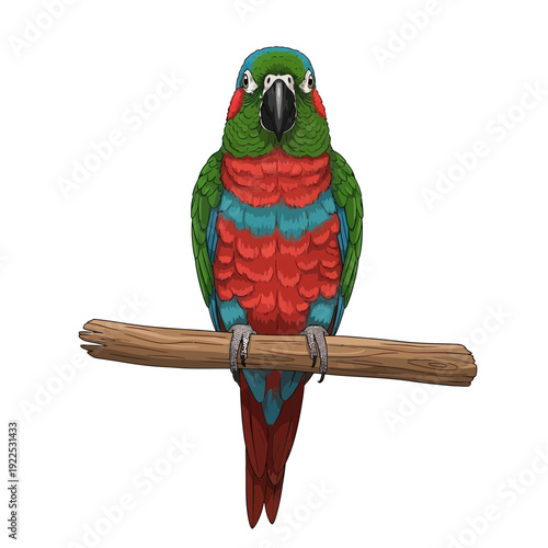 Colorful parrot perched on a wooden branch.