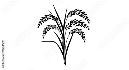 Black Silhouette Rice Plant Illustration on White Background