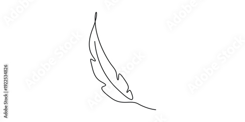 Minimalist, continuous one-line art drawing of a bird feather isolate vector illustration