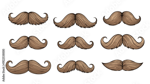 Large collection of different mustache styles in a detailed hand drawn vintage look for men's fashion and grooming graphic design.