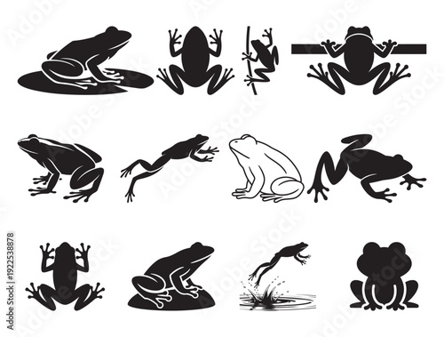 Frog Silhouettes Set | Jumping Amphibian Wildlife Icons | Black Frog Outline Clipart Collection