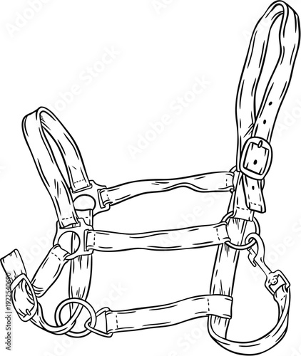 Hand drawn line art halter for horse care in the stable and horseback riding isolated on transparent background