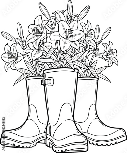 Beautiful lily flowers in pair of garden boots illustration design