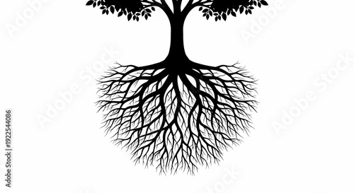 Black silhouette of a tree with visible roots and branches.