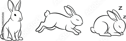 Three rabbits in different poses sitting running and sleeping together