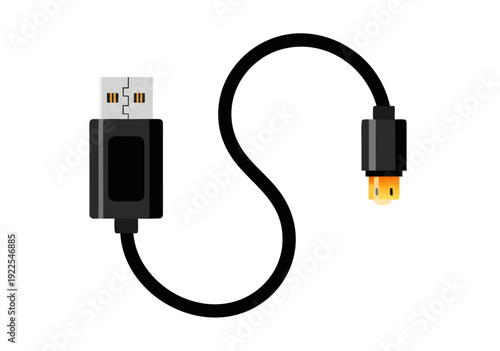Vector Illustration of USB-A and USB-B Connectors on Black Cable Displaying Design Details
