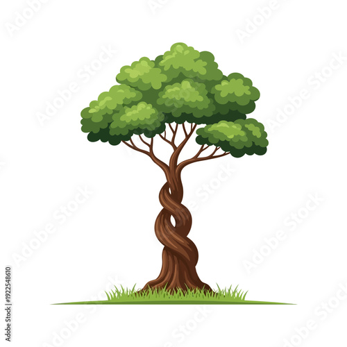 Twisted Trunk Tree with Green Leaves and Grass