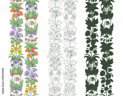 Set of stripe patterns with line art canary islands flowers. Floral vertical seamless border with hand drawn millefleur style botanicals