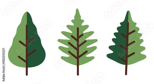 Cedar leaf Line art creative modern smooth illustration