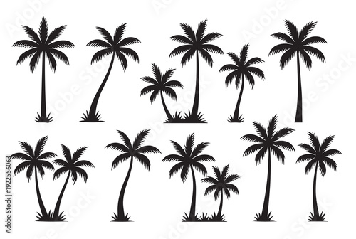 set of palm trees