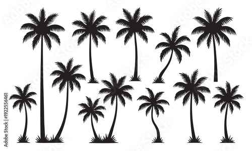 set of palm trees	
