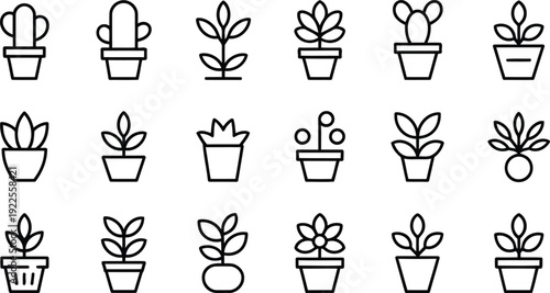 Assorted potted plants and succulents in various styles and arrangements.