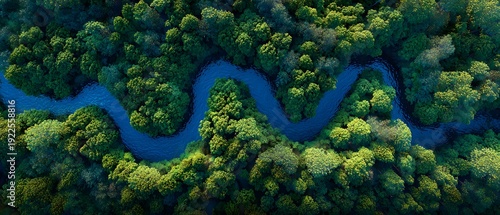Aerial view of a winding blue river flowing through a dense green forest landscape
