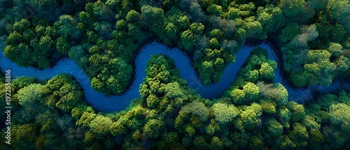 Panel kuchenny z motywem Aerial view of a winding blue river flowing through a dense green forest landscape