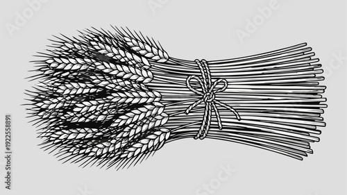 Vintage Black and White Illustration of a Tied Wheat Sheaf Bundle Isolated on Gray Background