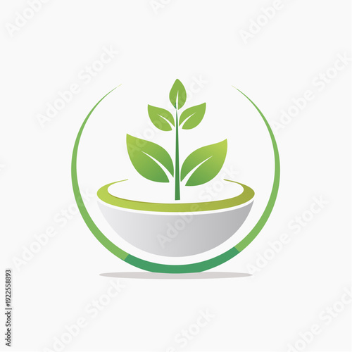 Organic growth symbol with green plant in bowl, representing natural health and vitality