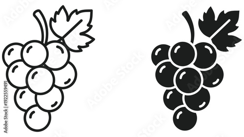 vector illustration of grapes