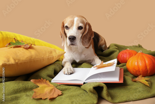 Cute Beagle dog with book, ...
