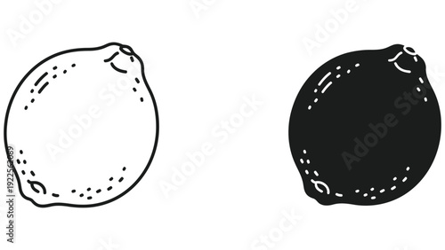 vector illustration of an apple
