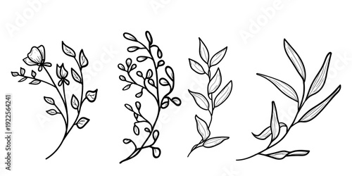 Hand-drawn spring flowers with petals and leaves. Vector illustration. Set of summer plants and wildflowers isolated on a white background. Summer, meadow, garden, and Easter themes.