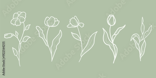 Spring flowers, with petals and leaves. Vector illustration. Set of summer plants and wildflowers, hand drawn, isolated on a green background. Summer and meadow, garden and Easter themes.