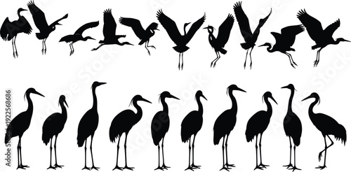 Black silhouettes of herons and cranes in flight and standing poses bird