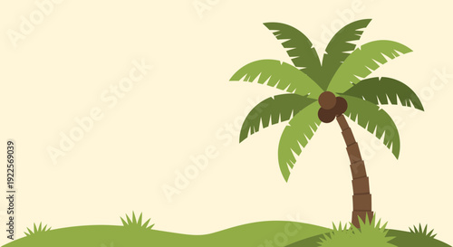 Lush green coconut palm tree with ripe coconuts.