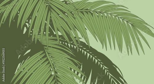 Lush green palm leaves creating a tropical and serene atmosphere.