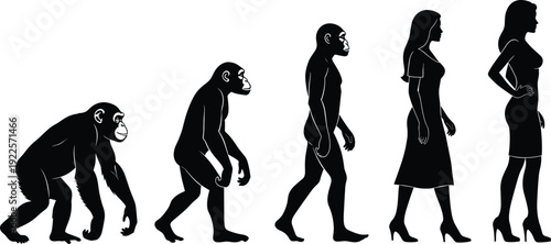 Black Silhouette Theory of Human Evolution from Ape to Modern Woman, Primates and Female Figures Walking for Science and Biology,
