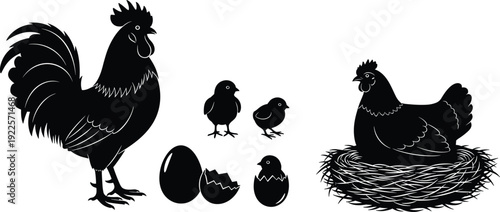 Black and white vector silhouette set of chicken life cycle including rooster, hen on nest, farm birds, eggs, hatching chick, and young cute ducklings.