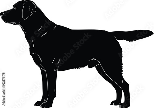 Black Labrador Retriever silhouette illustration, standing dog profile view, muscular build, friendly pet concept, animal design for stock content, canine breed representation artwork