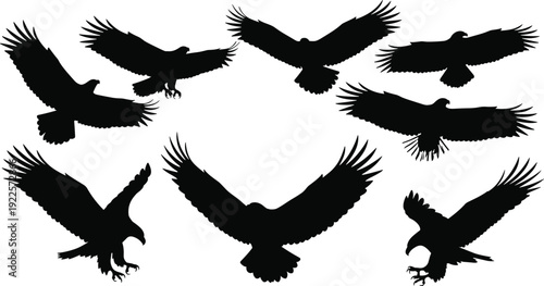 Black silhouette illustration of eagles in flight and landing positions, showcasing wings spread wide, soaring, gliding, and powerful talons, symbolizing strength, freedom, and nature