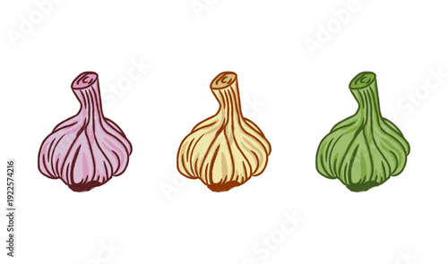 Garlic full color  logo. Isolated garlic on white background