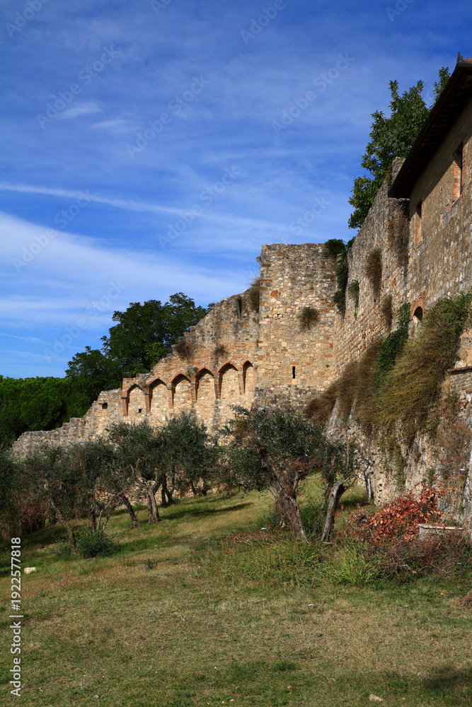 Fototapeta premium The historic medieval center of the Italian hill town of San Gimignano, Italy