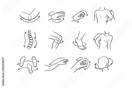 Hinge mark vector simple motion torso icon grasp flex cadence image pivot