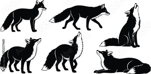 Illustrations of wolves in various poses and actions