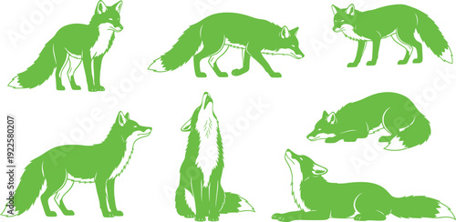 Illustrations of wolves in various poses and actions