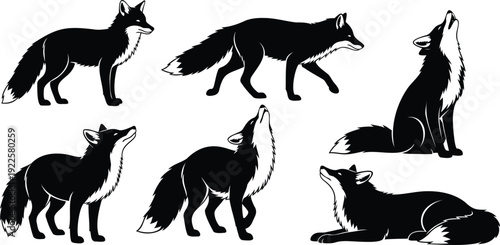 Illustrations of wolves in various poses and actions
