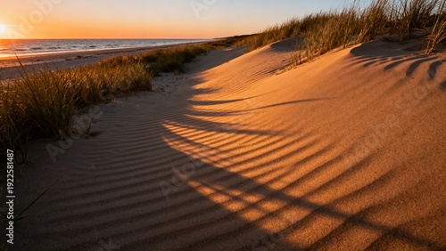 Golden hour sunset over coastal sand dunes with textured ripples and shadows, marram beach grass, and ocean horizon in the background, serene nature landscape photography scene.