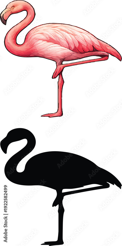 Obraz premium A vibrant pink flamingo stands gracefully illustration paired with its contrasting black silhouette