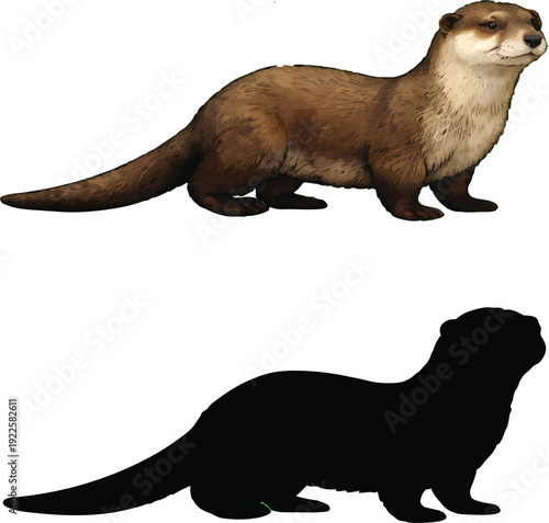 A realistic otter illustration accompanied by its stark black silhouette counterpart