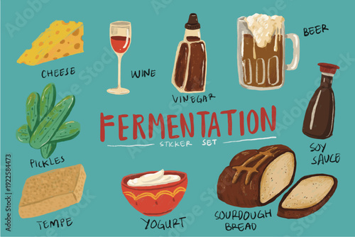 Cute Fermentation Process Set - Hand-Drawn Illustrations of Wine, Cheese, Yogurt, soy sauce, dough