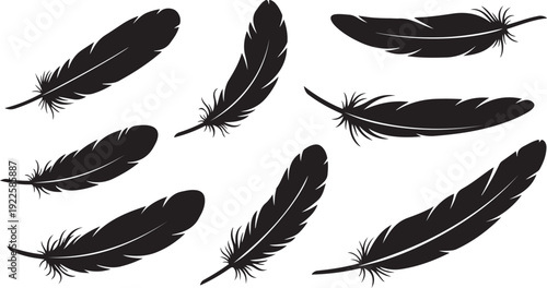 Collection of black feathers on white background illustration