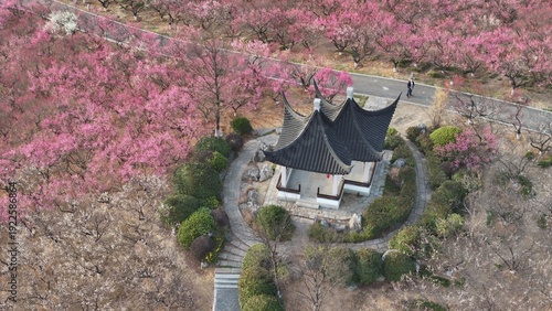 The natural scenery of Plum Ridge in Zhangjiagang's Fragrant Hill