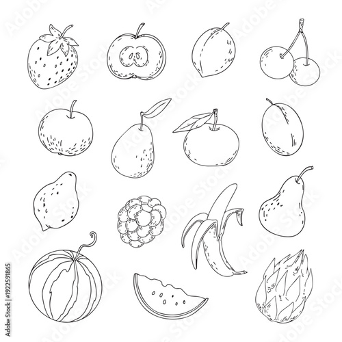 Vector set. Doodle fruits. Outline illustrations of fruits and berries. Strawberries, apples, plums, peaches, cherries, pears, raspberries, bananas, lemons, watermelons, and dragon fruit