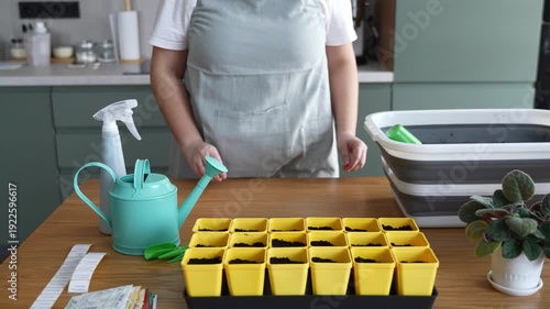 Home seedling preparation: woman placing a tray of pots on the table